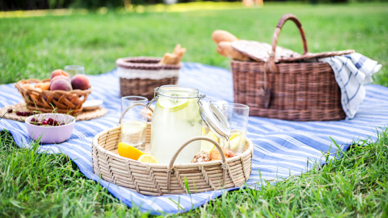 Perfect Picnic Spots: Top Local Parks to Visit This Month | Laffey Real Estate