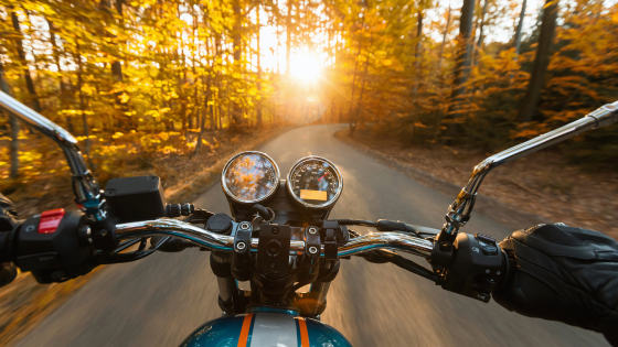 Your Guide to the Best Fall Motorcycle Rides on Long Island | Laffey Real Estate
